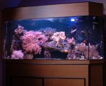 zee-aquarium8.JPG