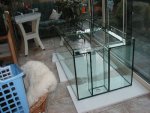 nieuw aquarium 14.jpg