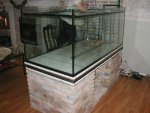 nieuw aquarium 8.jpg