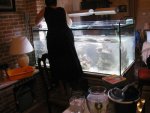 nieuw aquarium 6.jpg