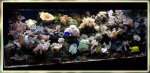 aquarium marinus 04.jpg