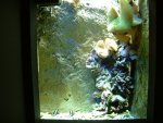 overzichtwc 17.09.04.jpg
