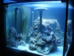 2009SEP20 - 6.JPG