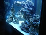 2009SEP20 - 9.JPG
