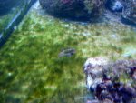 DSC04025.jpg