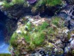 DSC04032.jpg