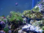 DSC04036.jpg