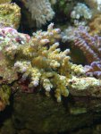 DSC02504.JPG