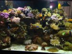 DSC02489.JPG