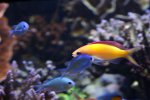 _MG_8816.JPG