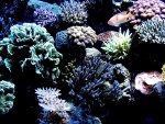 DSC03166.JPG