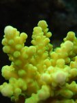 DSC02536.JPG