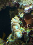 DSC02557.JPG