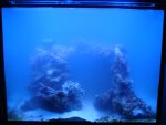 2009SEP26-3.JPG