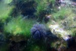 DSC04067_renamed_15724.jpg