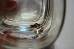 BEL-IMG_0877.jpg
