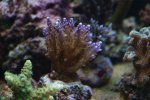 DSC01715.JPG