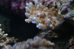 DSC01755.JPG
