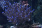 DSC01757.jpg