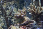 DSC01762.JPG