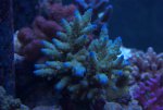DSC01776.jpg