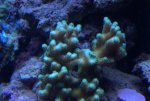 DSC01781.jpg