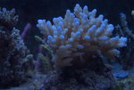 DSC01798.jpg