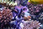 IMG_5738.JPG