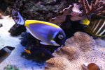 IMG_5730.JPG