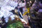 IMG_5722.JPG
