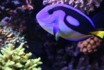 IMG_5714.JPG