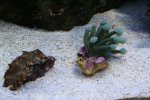 IMG_5848.jpg