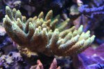 IMG_5896.jpg