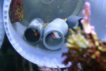 IMG_5207.JPG