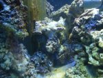 2009OCT19 - 05.JPG