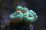 DSC_0202.jpg