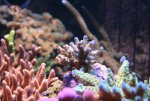 IMG_5914.jpg