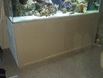 079.jpg