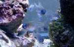 DSC04196.jpg