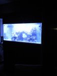 foto0136.jpg