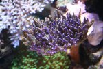 IMG_6200.jpg