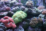week 19 overzicht 2.jpg
