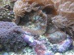 IMG_1297.JPG