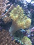 IMG_1311.jpg