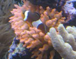 IMG_1312.JPG