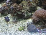 IMG_1315.jpg