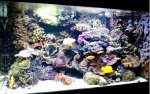 aqua_09-11-09.jpg