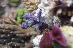 DSC01857.JPG
