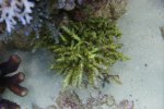 DSC01859.JPG