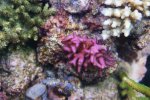 DSC01898.JPG